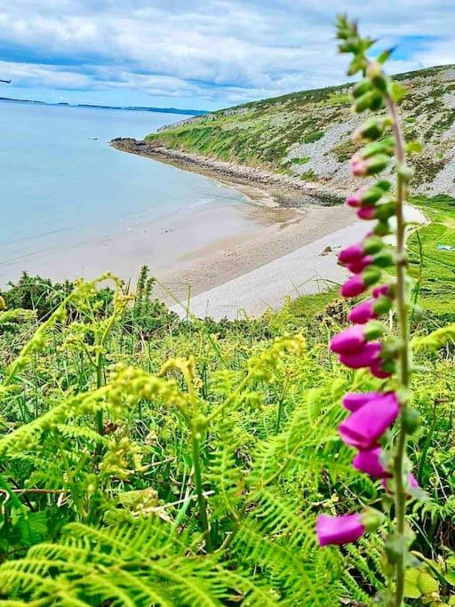 The Mermaids Watch Pendine Dog Friendly Leilighet Eksteriør bilde